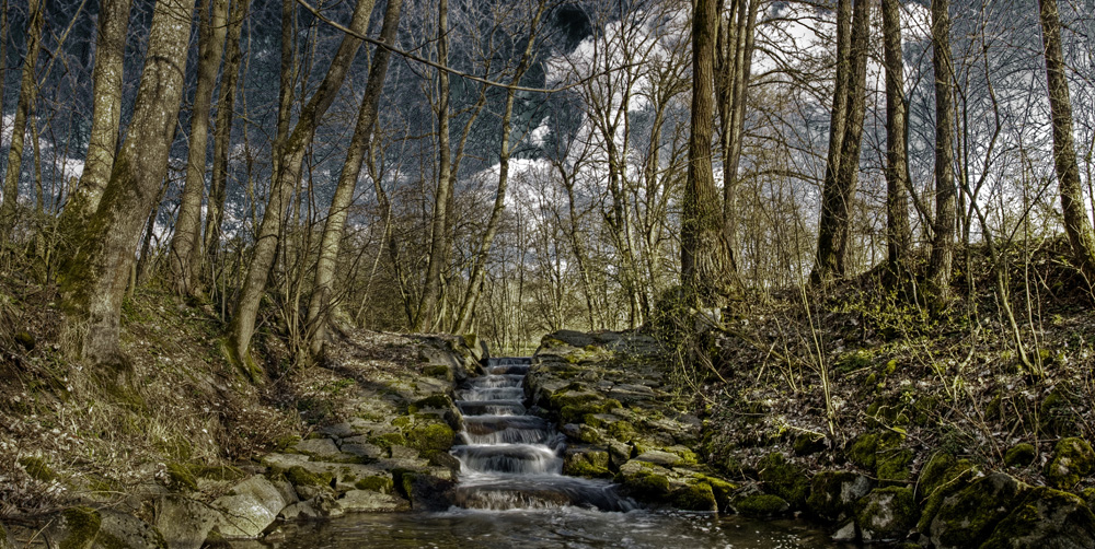 Forest Stairs