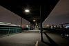 Walk the Night by Daniel Bell