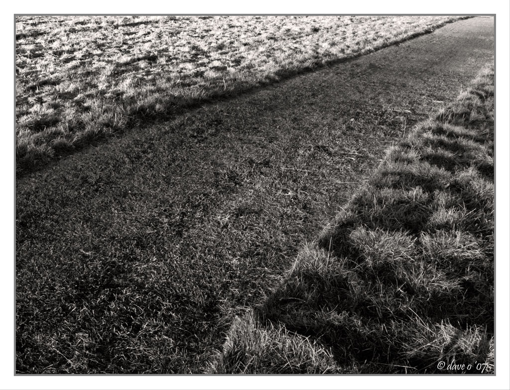 Fresh Cut Grass