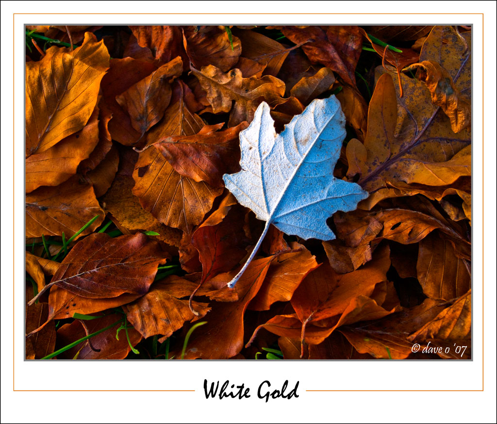 White Gold