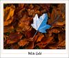 White Gold by Dave O