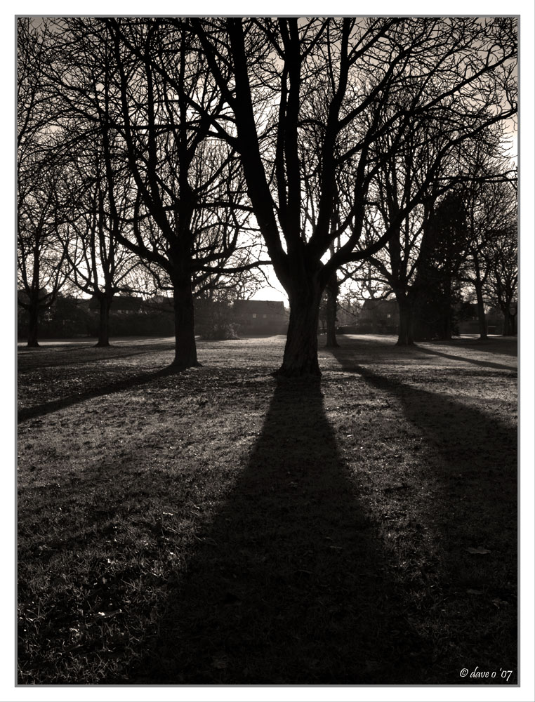 Standing In The Shadow