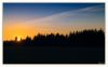 See You In The Morning by Dave O
