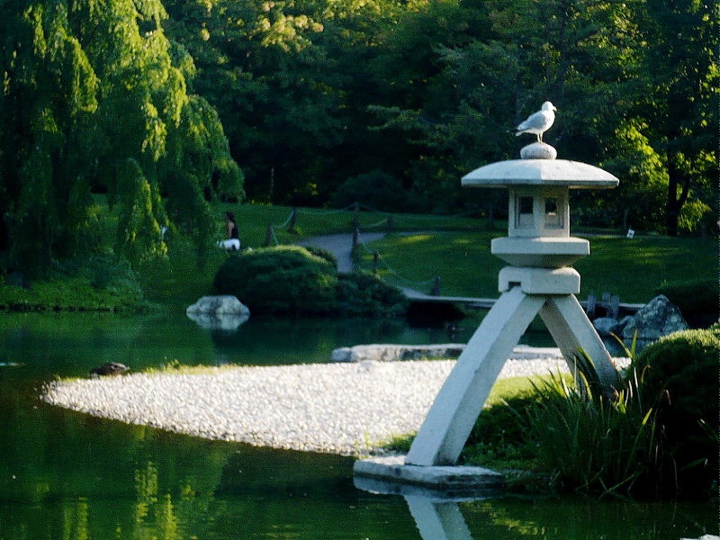 Botanicle Garden