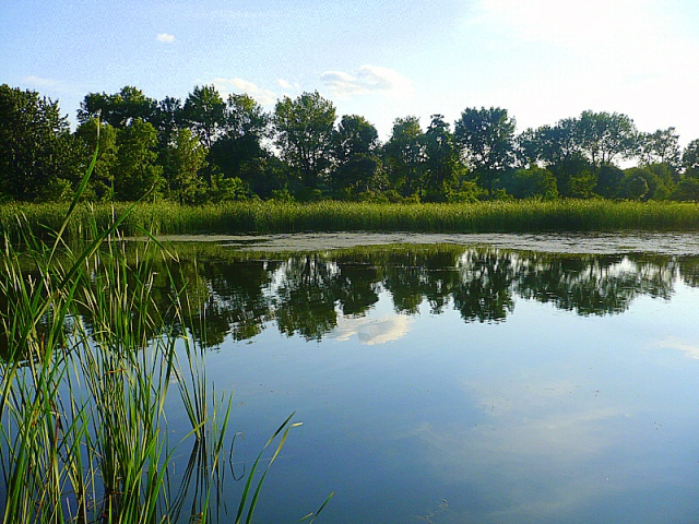 Reflection