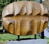 Scalpture