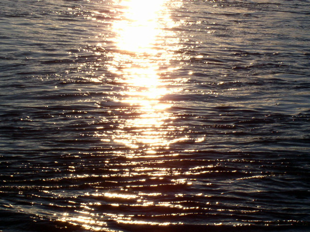 SunSet in Lasalle Park