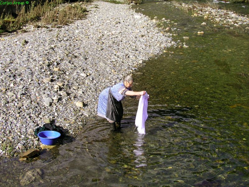 washing