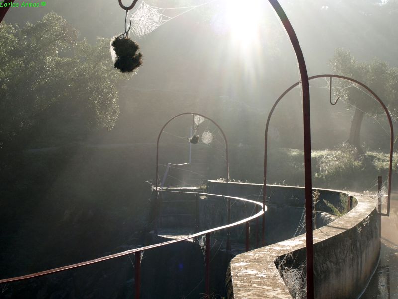 morning myst