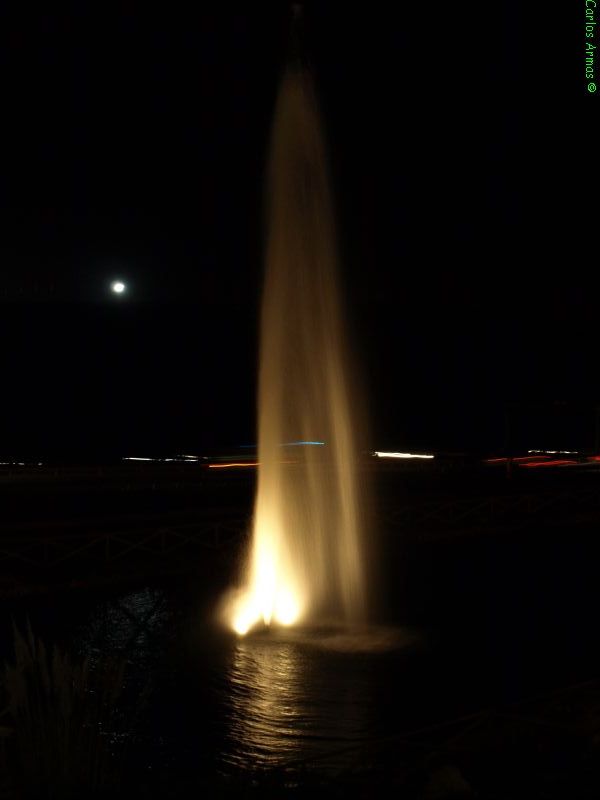 fountain at night