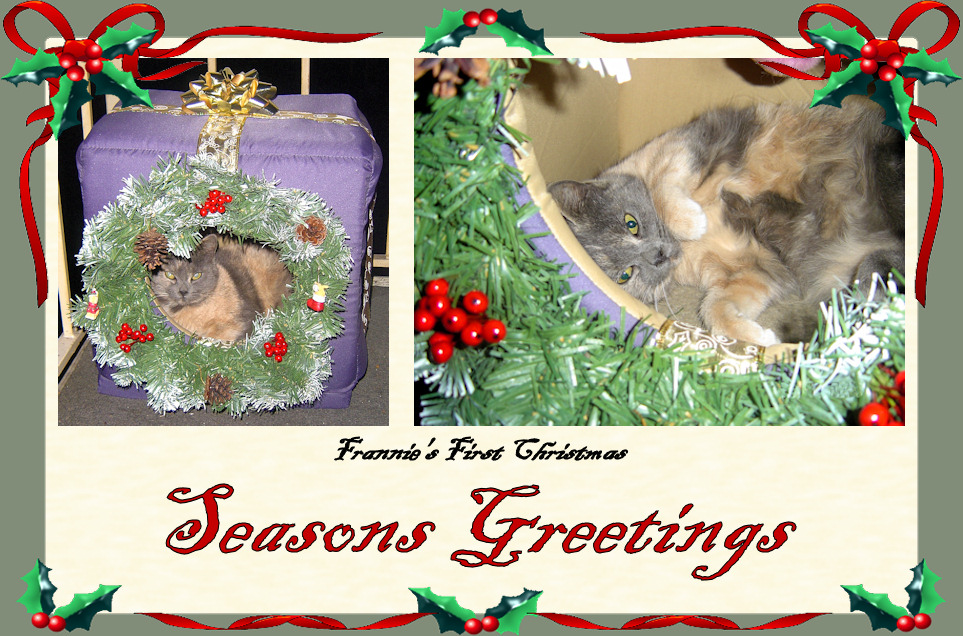 Seasons Greetings