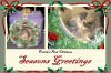 Seasons Greetings