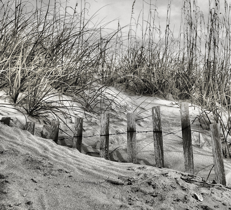 Sand Dune Light & Shadow