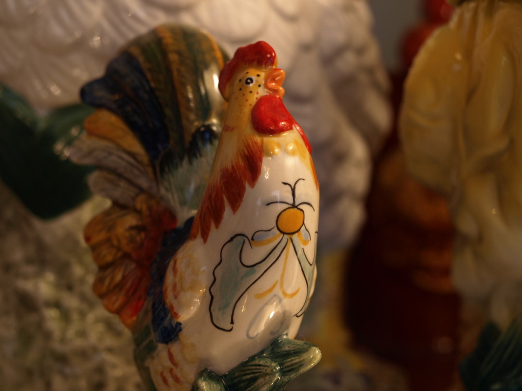 Rooster