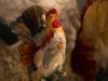Rooster by Marcus Boyd