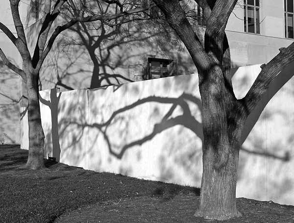 late afternoon