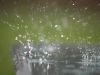 rain drops by Joshua Beniston