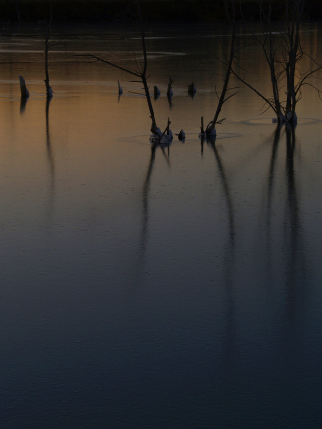 prospect pond