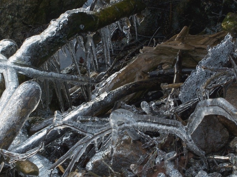Frozen life