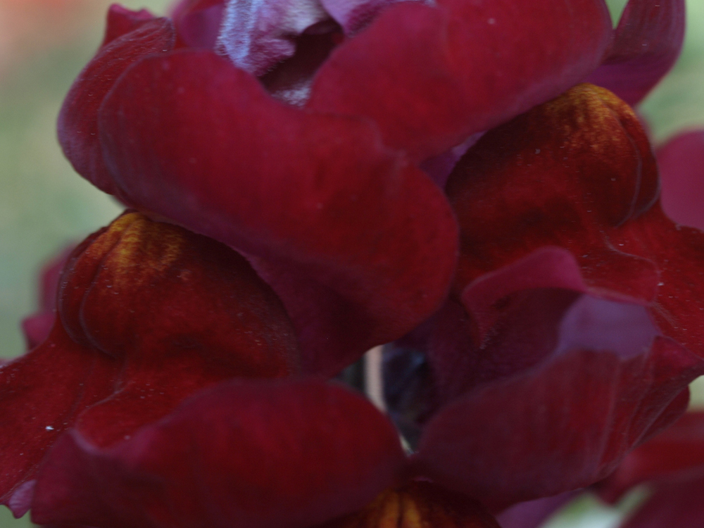 deep red