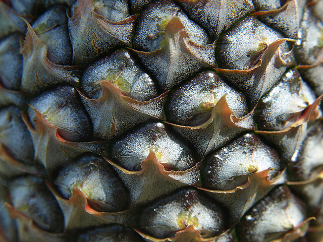Pineapple skin