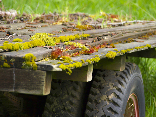 Crusty Flatbed