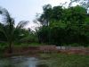 Backyard by Jamzuri Ammir