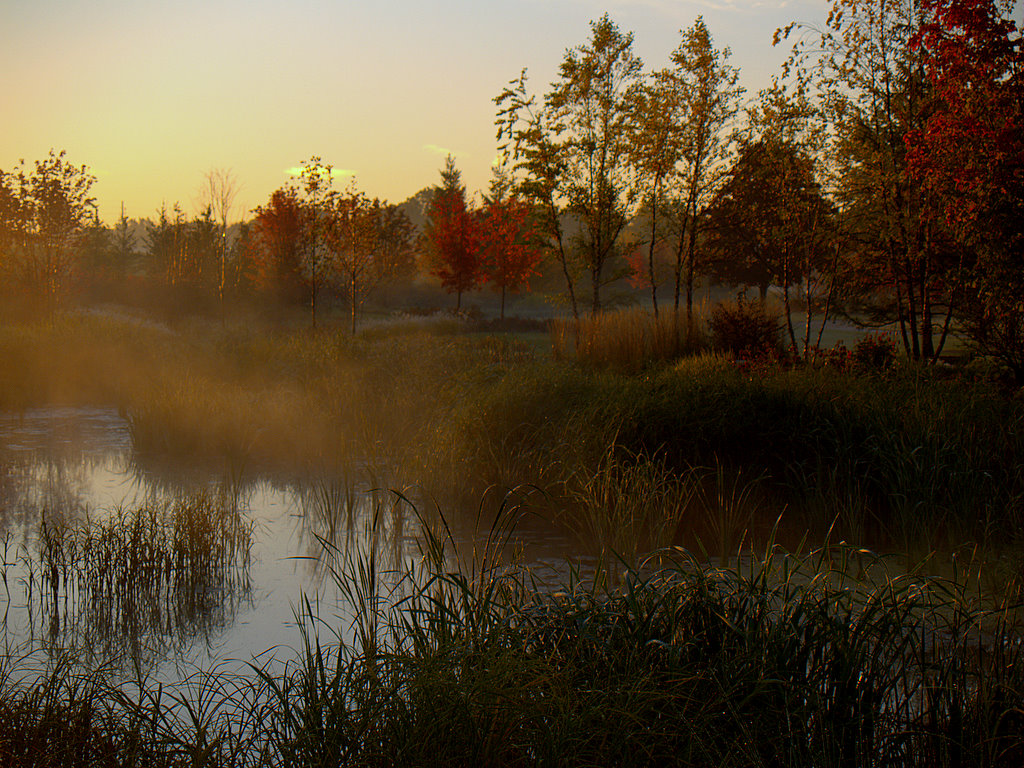 Sunrise at George George Memorial Park