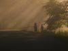 Morning Mist by David Peterson