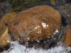 Water flowing over another rock!