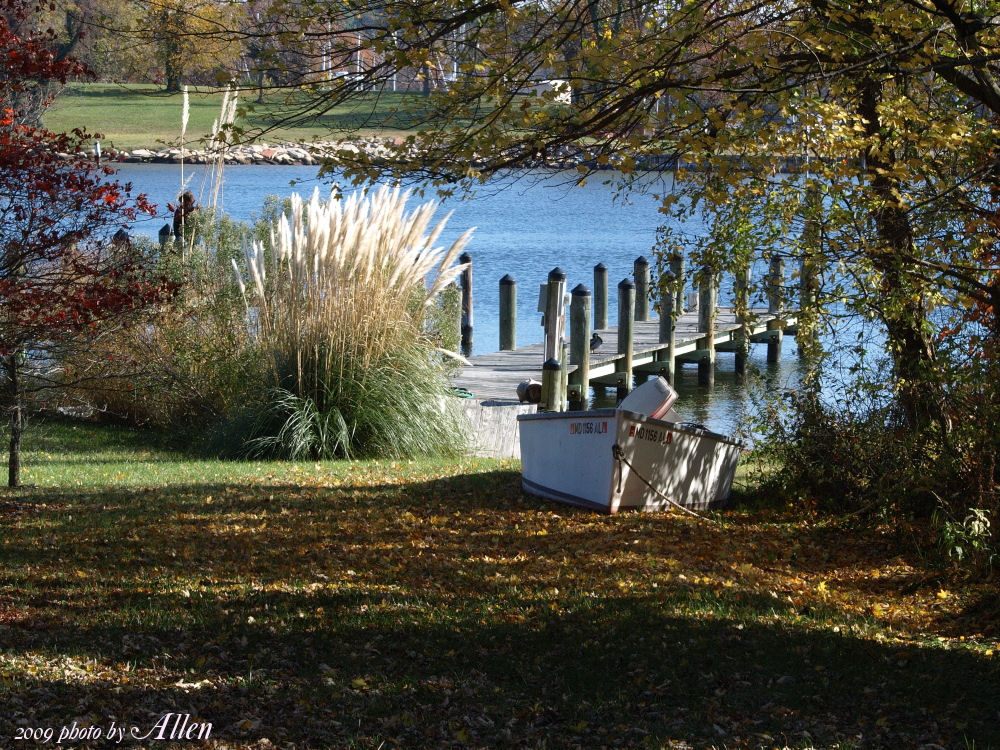 Nice fall day