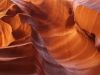 Antelope 3