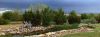 Pond