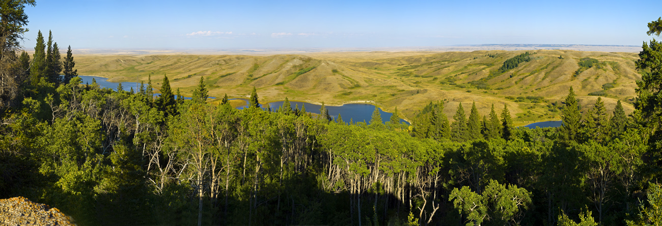 Cypress Hills Conglomerate Cliffs