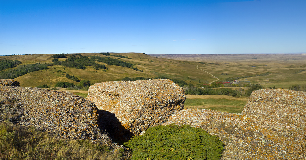 Reesor Ranch (2)
