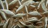 Gypsum