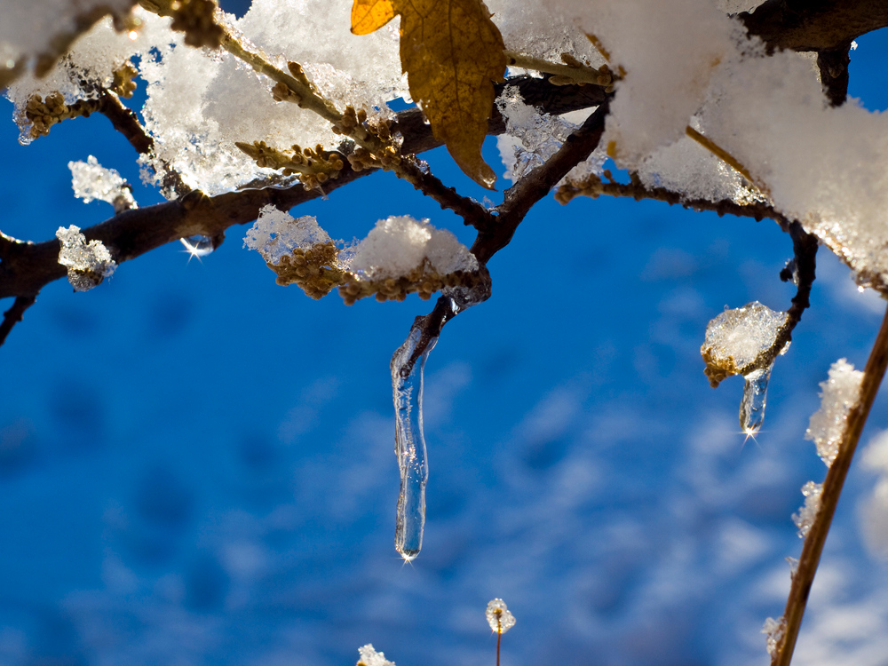 Ice Crystals (3)