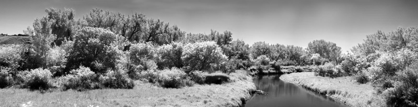 IF Perspective (2)