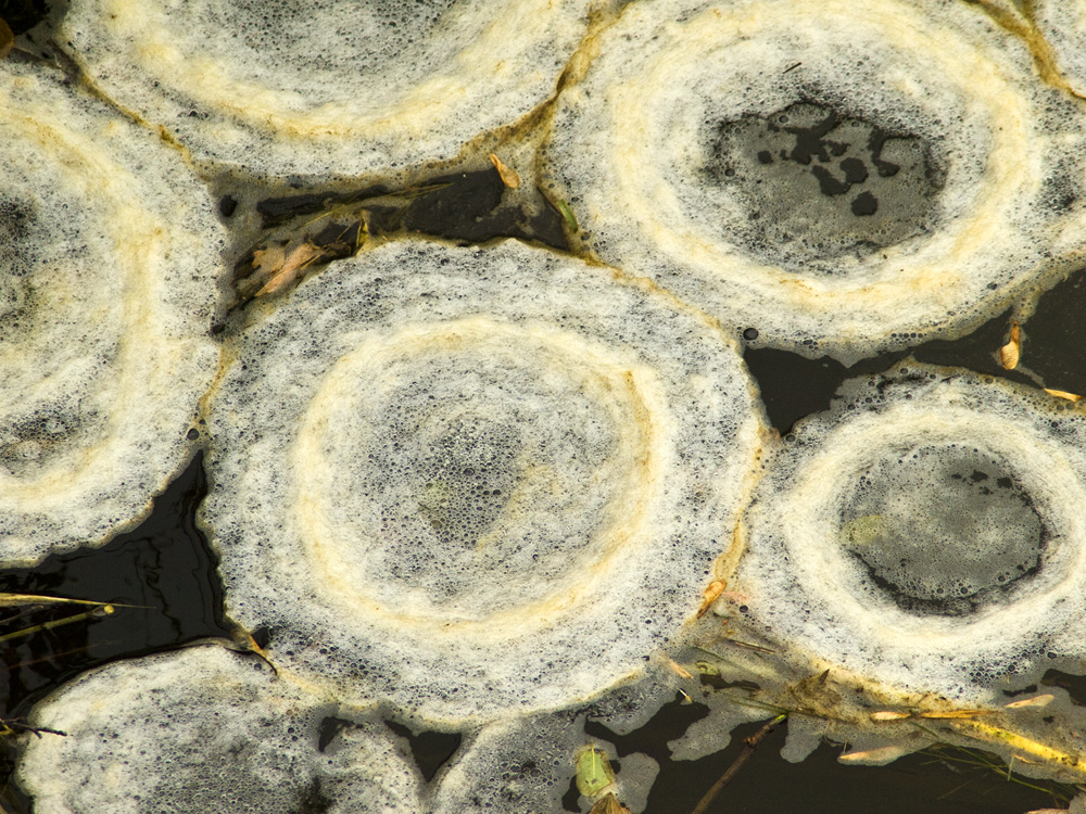 Froth Ice Cicles
