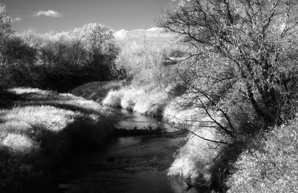 Infrared (2)