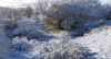 Winter Day