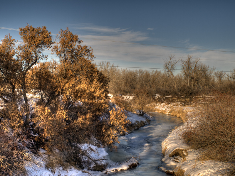 Winter Tones