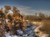 Winter Tones by Neil Macleod