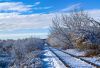 Snow Tracks