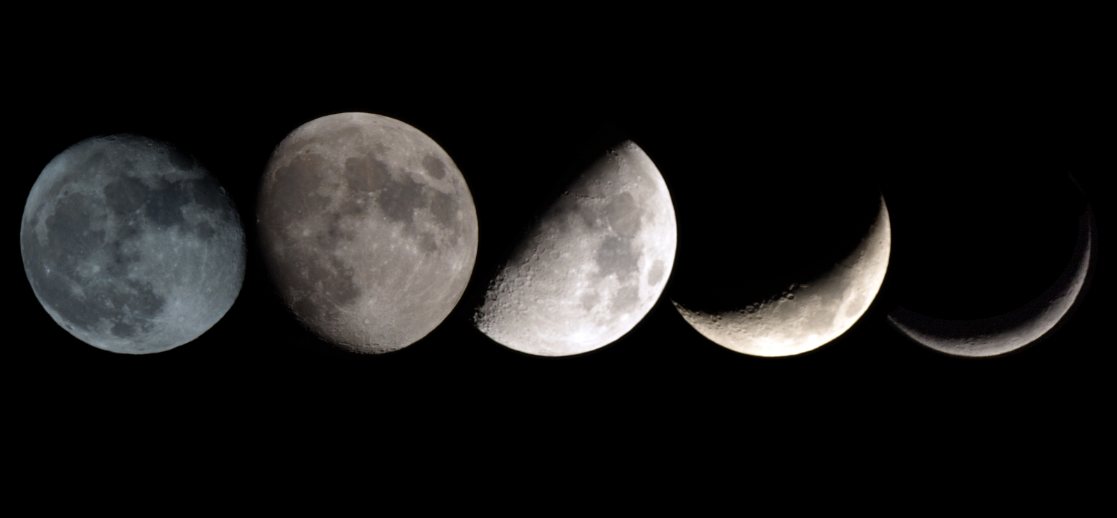 Moon Phases