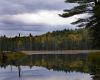 Beaver's pond