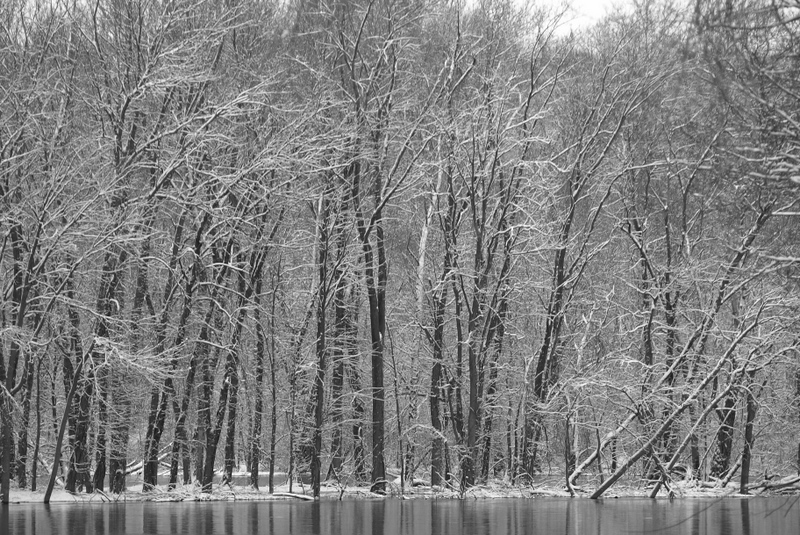 Rising River