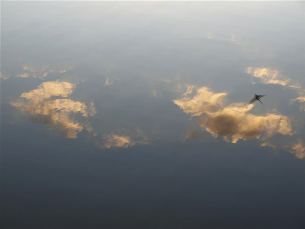 Clouds
