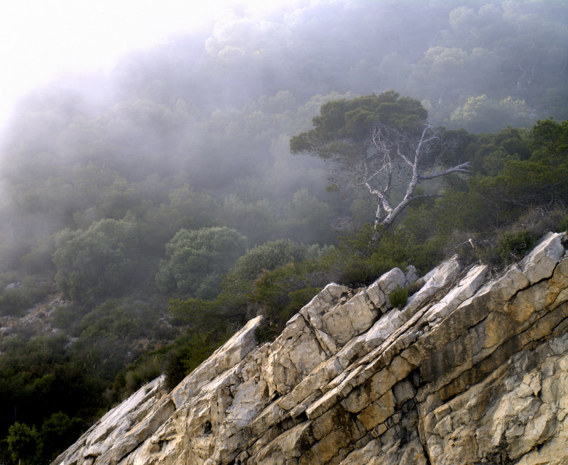 Mist