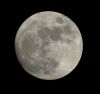 The moon